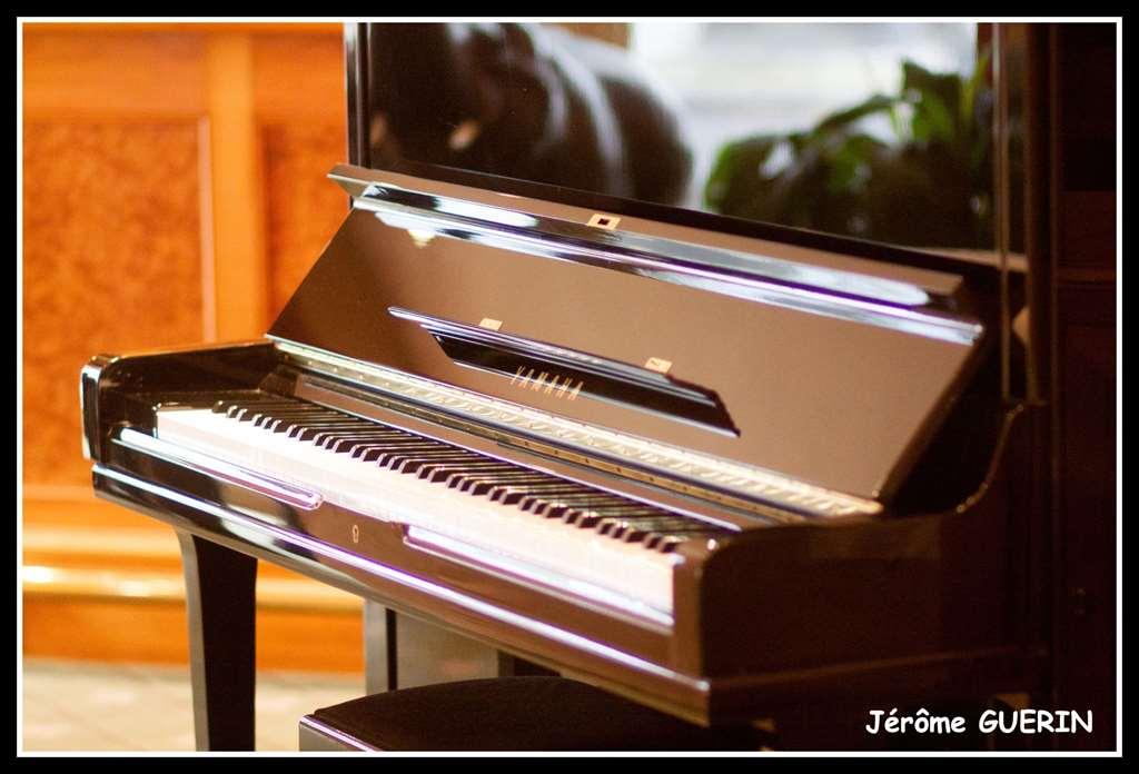 Logis Hotel Le Rivage ジアン レストラン 写真